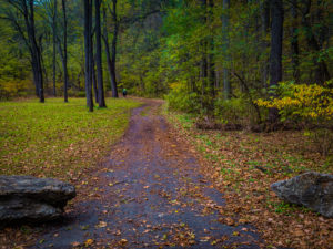 Colorful hiking trail in Autumn in Lancaster County